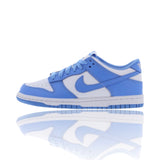 Nike Dunk Low UNC GS