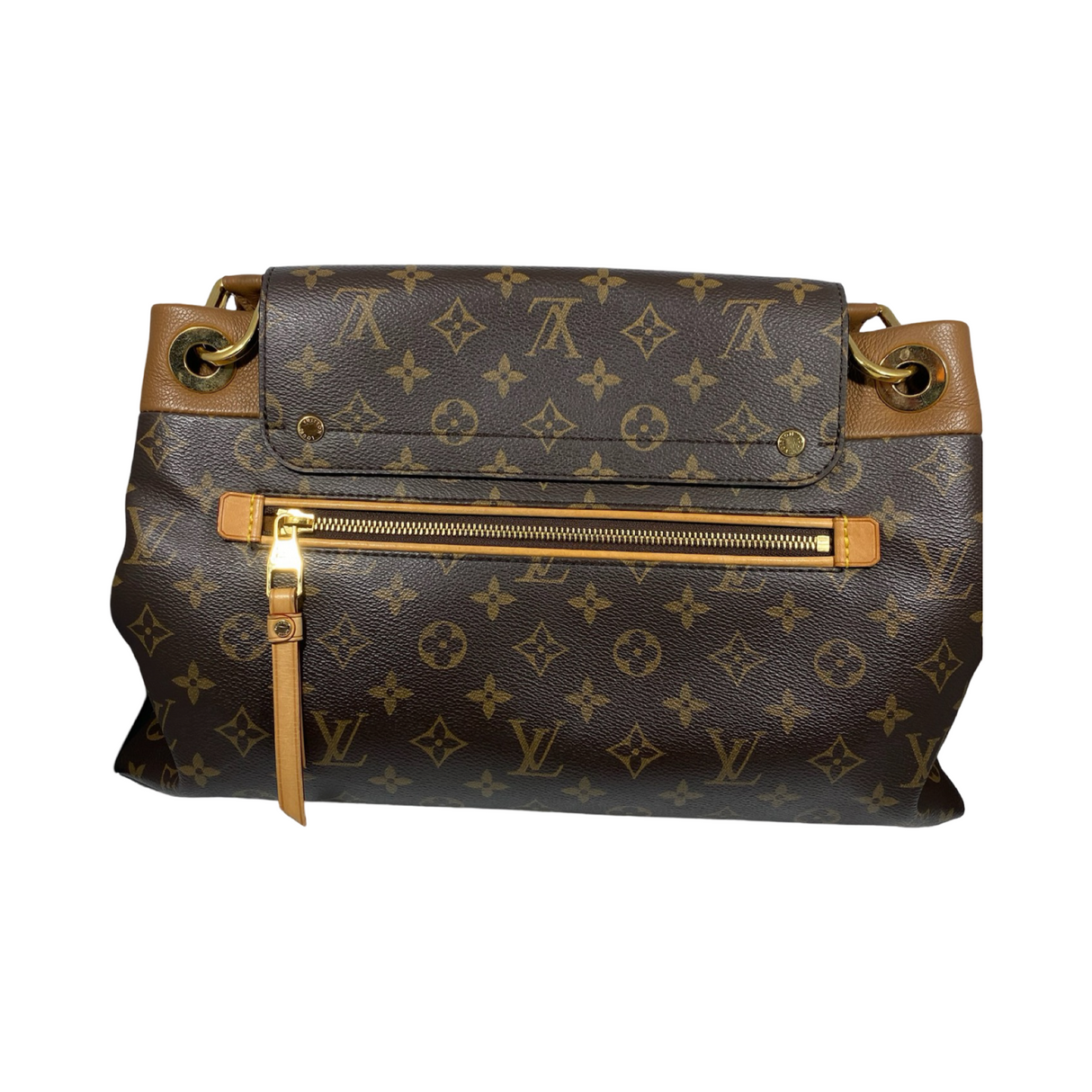 Louis Vuitton Pochette Accessories Damier