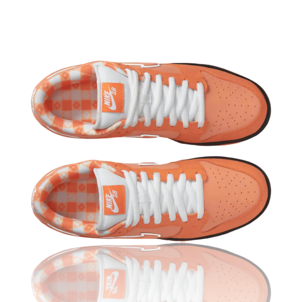 Nike SB Dunk low Concepts Orange Lobster