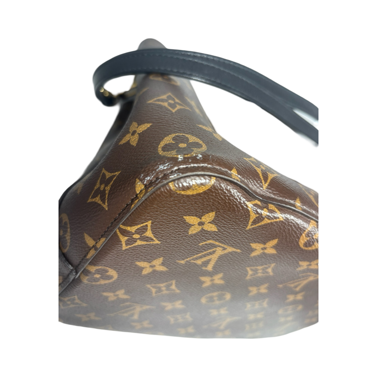 Louis Vuitton NeoNoe Monogram