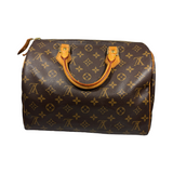 Louis Vuitton Speedy 30 Damier 